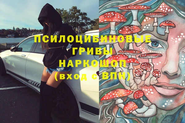 шишки Богданович